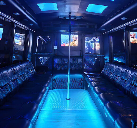 st Pete mini bus