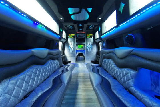 hardwood floor in limo
