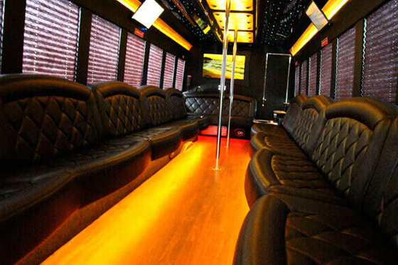 39 passenger party bus